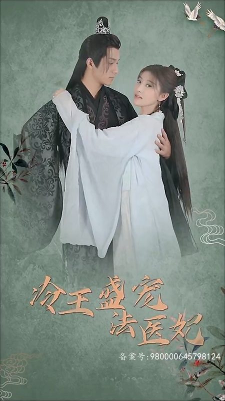 《凤还巢：冷王盛宠法医妃》-VIP部落