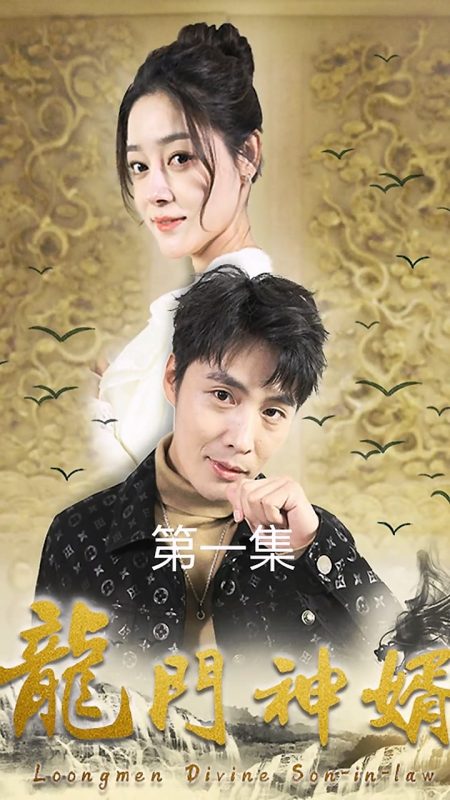 《龙门神婿》-VIP部落
