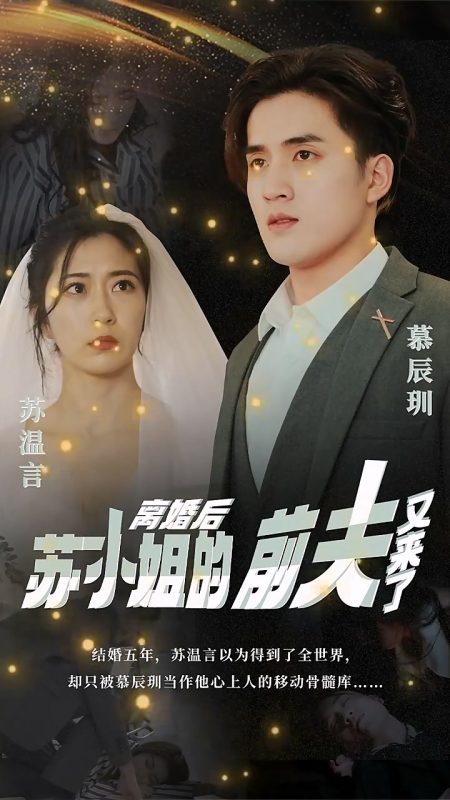 《离婚后，苏小姐的前夫又来了》-VIP部落