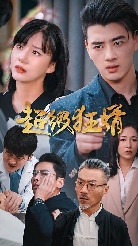 《超级狂婿》-VIP部落