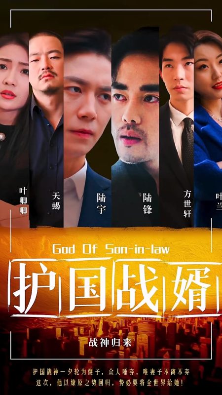 《护国战婿》-VIP部落