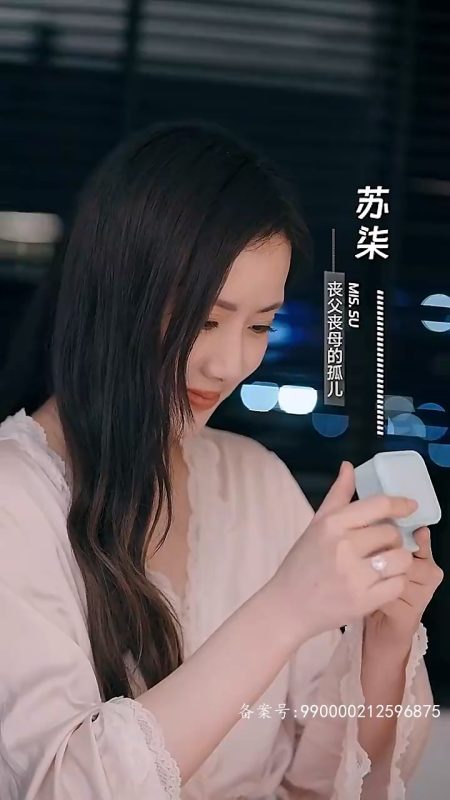 《被虐离婚后，厉总跪求我回头》-VIP部落