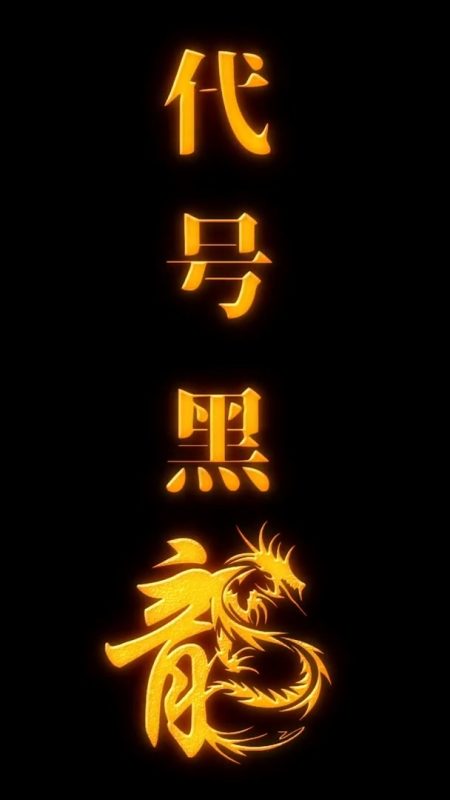 《代号黑龙》-VIP部落