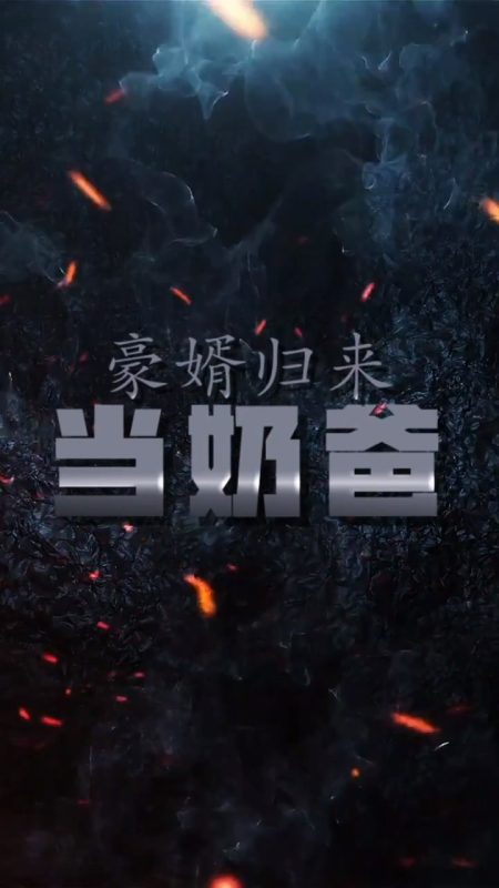 《豪婿归来当奶爸》-VIP部落