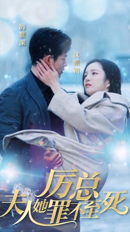 《厉总夫人她罪不至死》-VIP部落