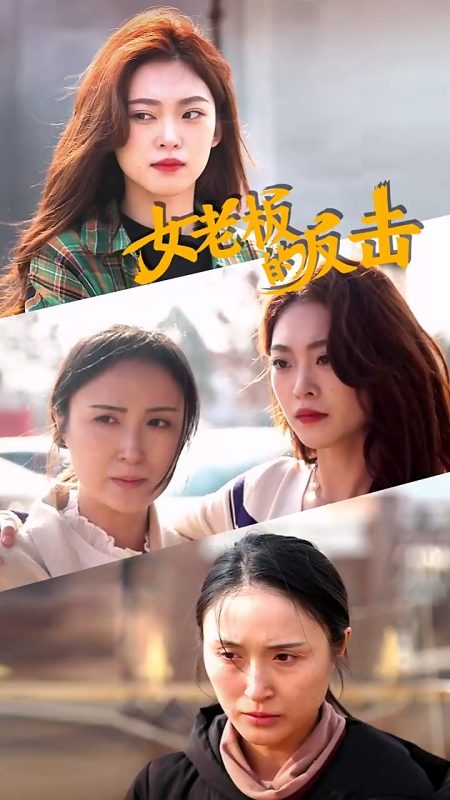 《女老板的反击》-VIP部落