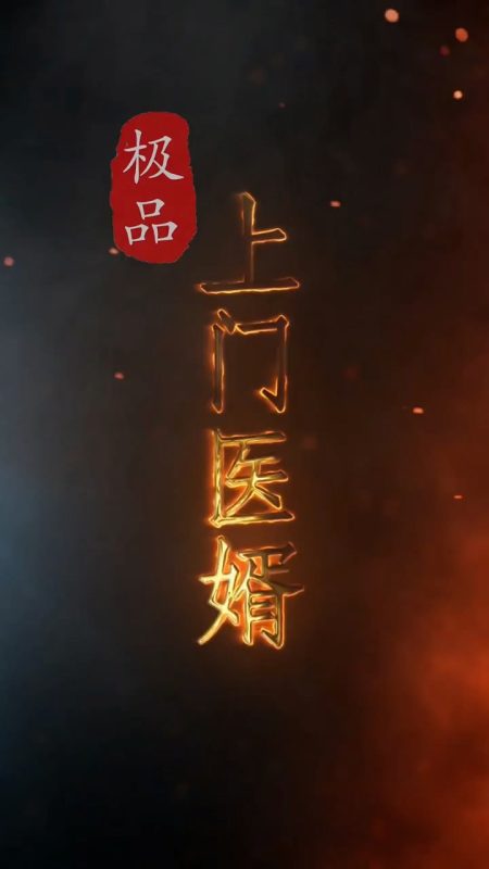 《极品上门医婿》-VIP部落