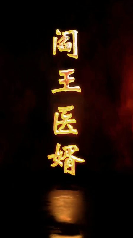 《阎王医婿》-VIP部落