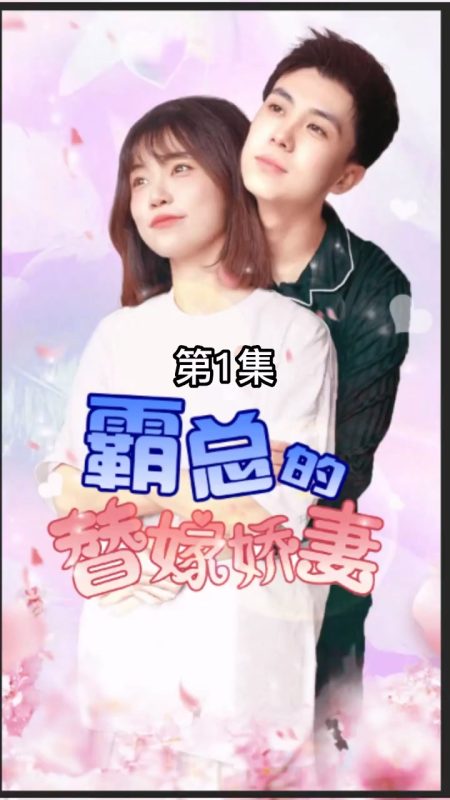 《霸总的替嫁娇妻》-VIP部落