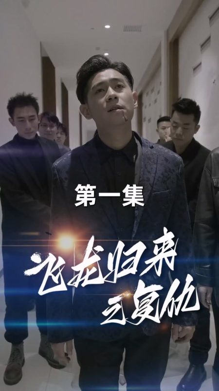 《飞龙归来》-VIP部落