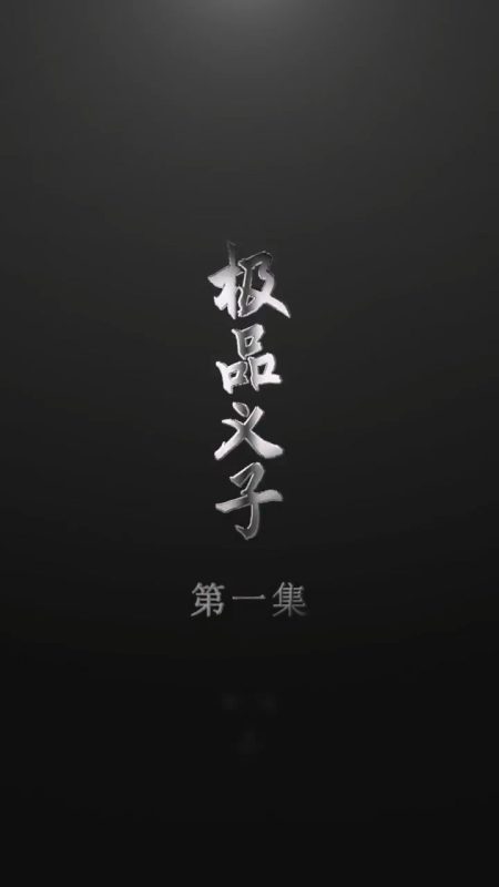 《极品义子》-VIP部落