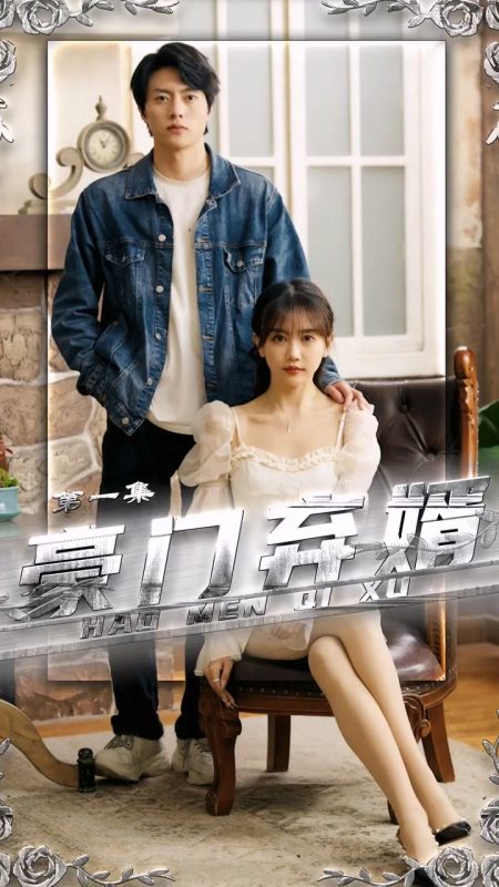 《豪门弃婿》-VIP部落
