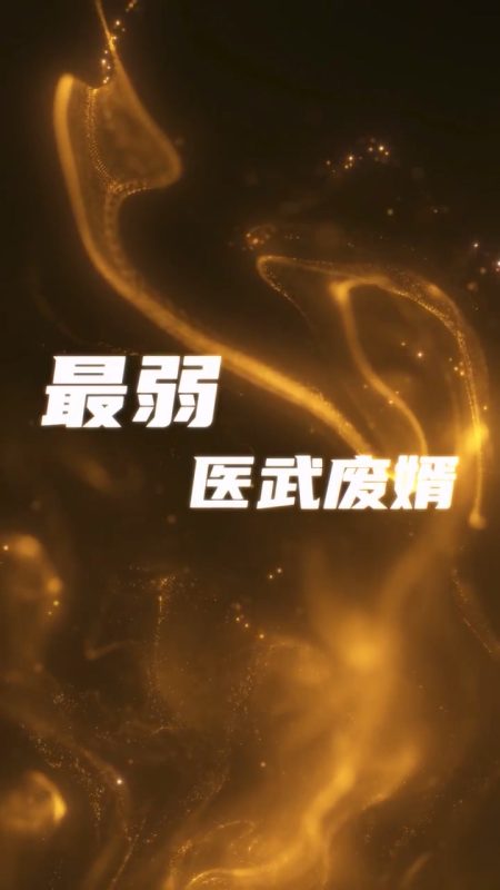 《最弱医武废婿》-VIP部落