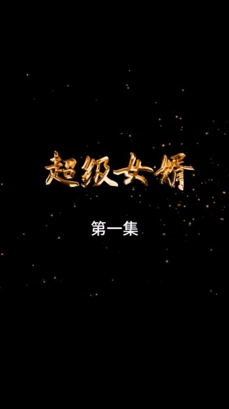 《超级女婿》-VIP部落