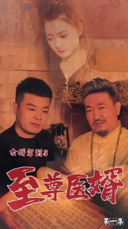 《女婿驾到3》-VIP部落