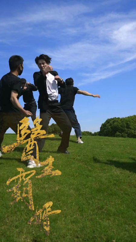 《医王霸婿》-VIP部落