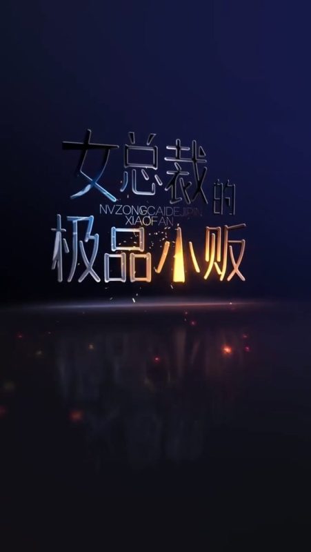 《女总裁的极品小贩》-VIP部落
