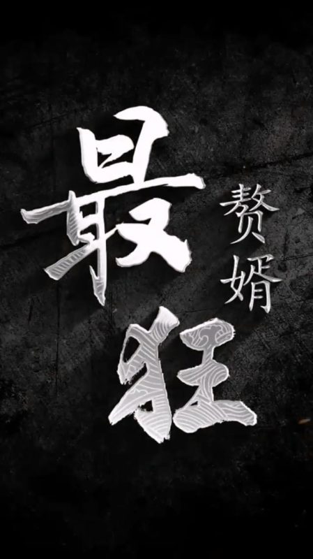 《最狂赘婿》-VIP部落