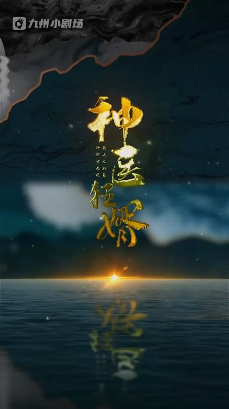 《神医狂婿》-VIP部落
