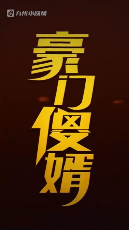 《豪门傻婿》-VIP部落