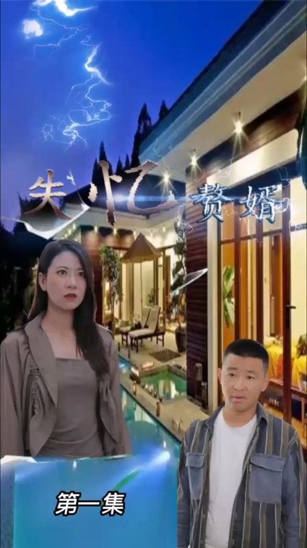 《失忆赘婿》-VIP部落