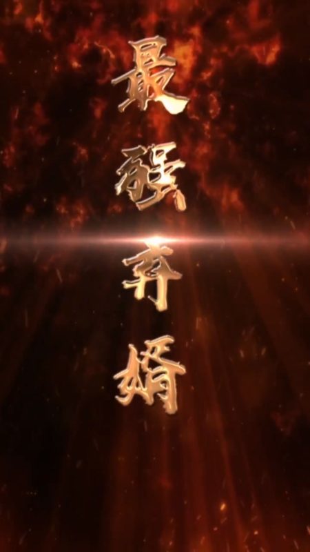 《最强废婿》-VIP部落