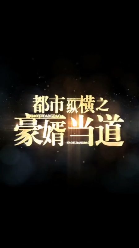 《都市纵横之豪婿当道》-VIP部落