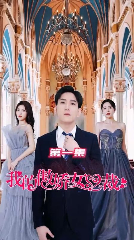 《我的傲娇女总裁》-VIP部落