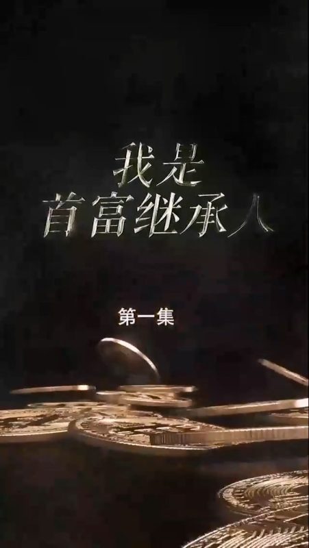 《我是首富继承人》-VIP部落