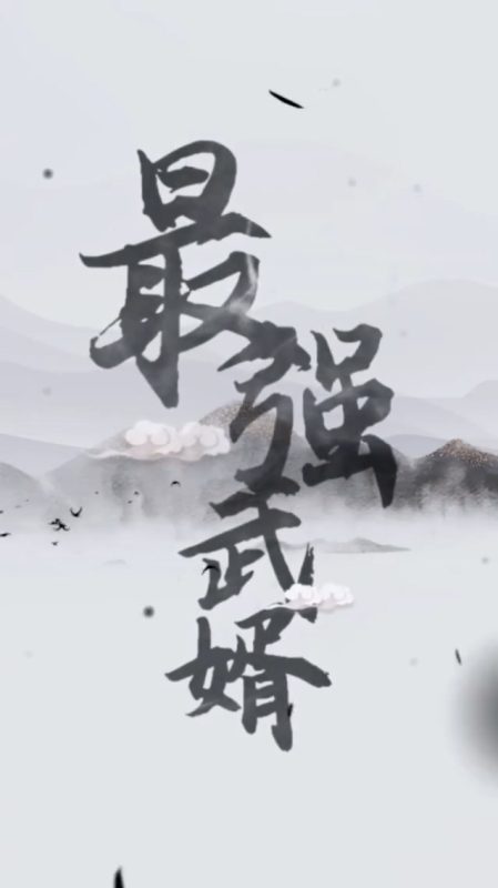 《最强武婿》-VIP部落
