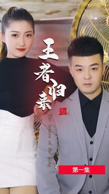《女婿驾到2王者归来》-VIP部落