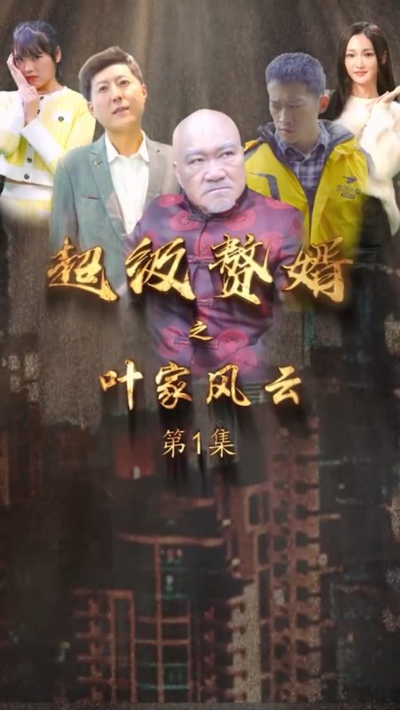 《超级赘婿之叶家风云》-VIP部落