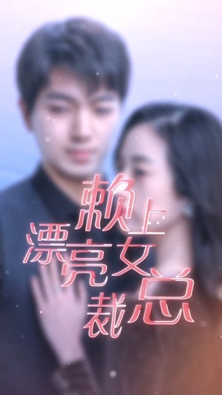 《赖上漂亮女总裁》-VIP部落