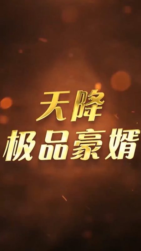 《天降极品豪婿》-VIP部落