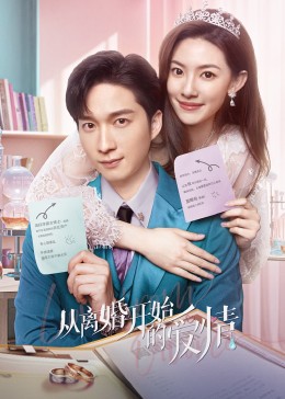 《从离婚开始的爱情》-VIP部落