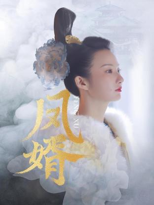 《凤婿》-VIP部落