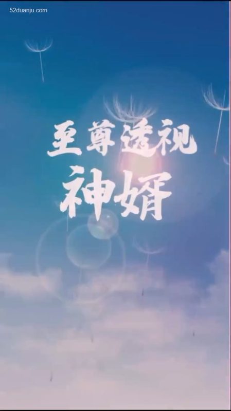 《至尊透视神婿合集版》-VIP部落