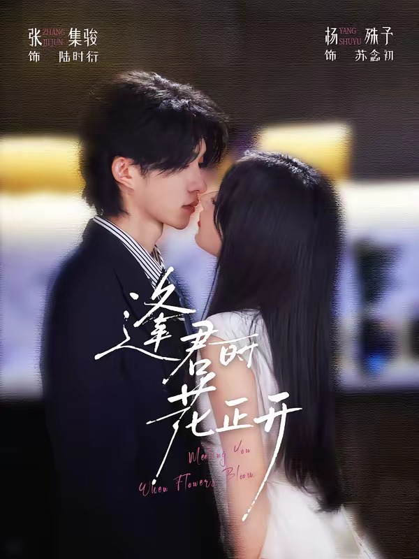 《逢君时花正开》-VIP部落