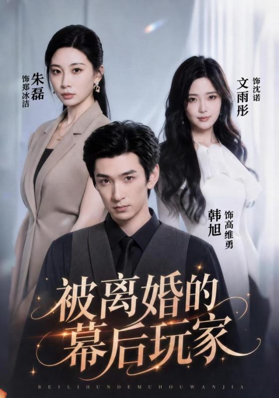 《被离婚的幕后玩家》-VIP部落