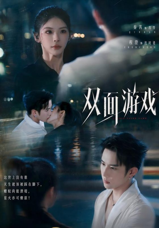 《双面游戏》-VIP部落