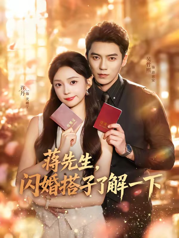 《蒋先生，闪婚搭子了解一下》-VIP部落