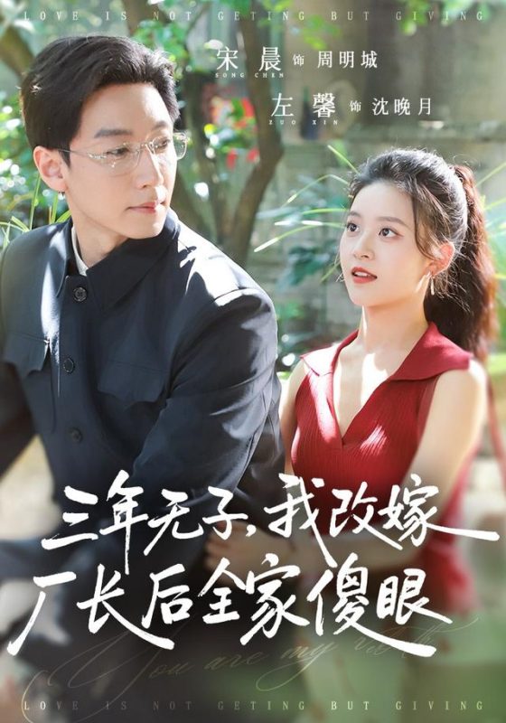 《三年无子，我改嫁厂长后全家傻眼了》-VIP部落