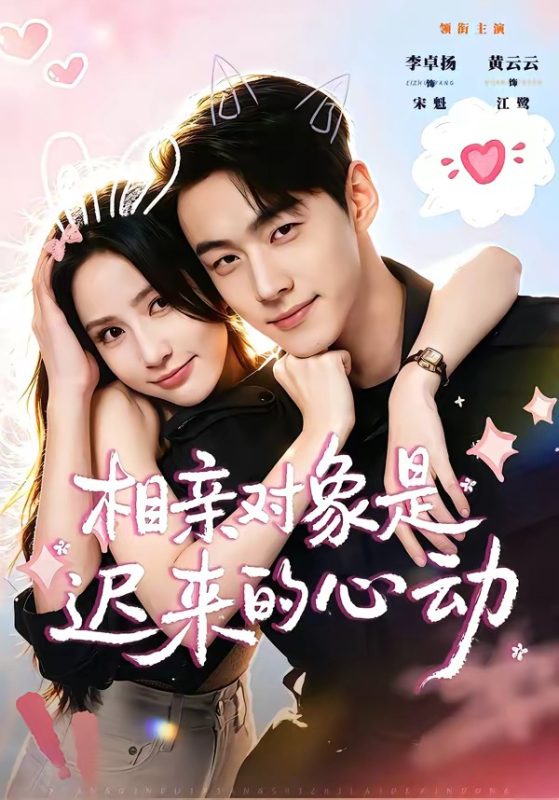 《相亲对象是迟来的心动》-VIP部落