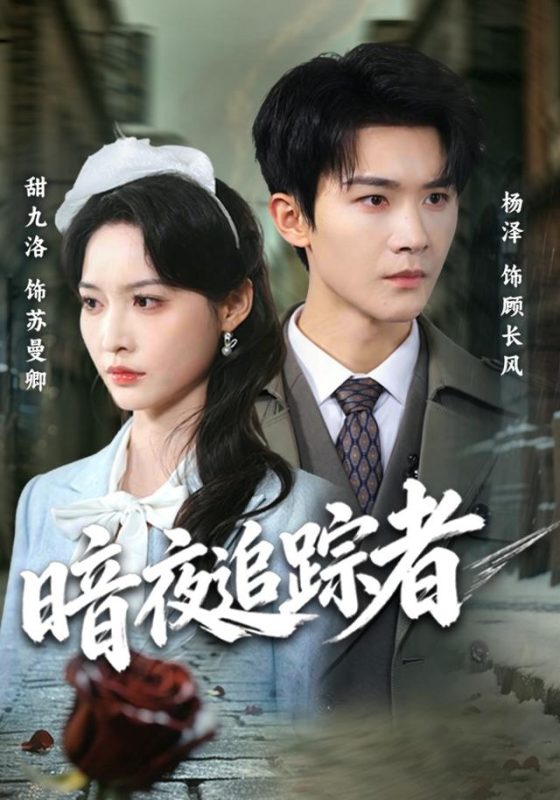 《暗夜追踪者》-VIP部落