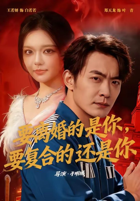 《要离婚的是你，要复合的还是你》-VIP部落
