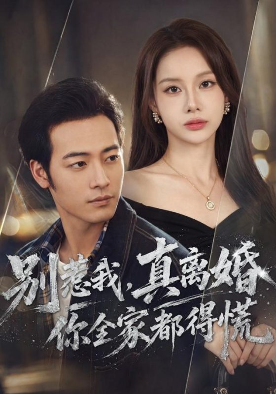 《别惹我，真离婚你全家都得慌》-VIP部落