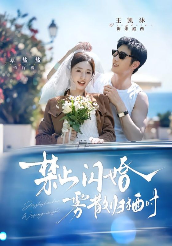 《禁止闪婚，雾散归栖时》-VIP部落