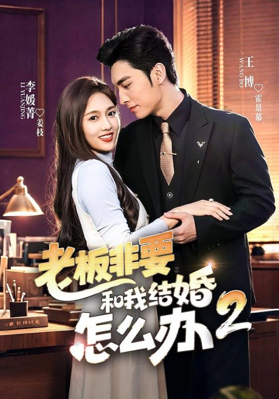 《老板非要和我结婚怎么办第二季》-VIP部落