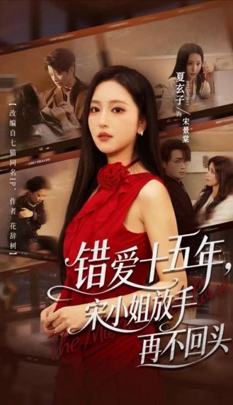 《错爱十五年，宋小姐放手再不回头》-VIP部落
