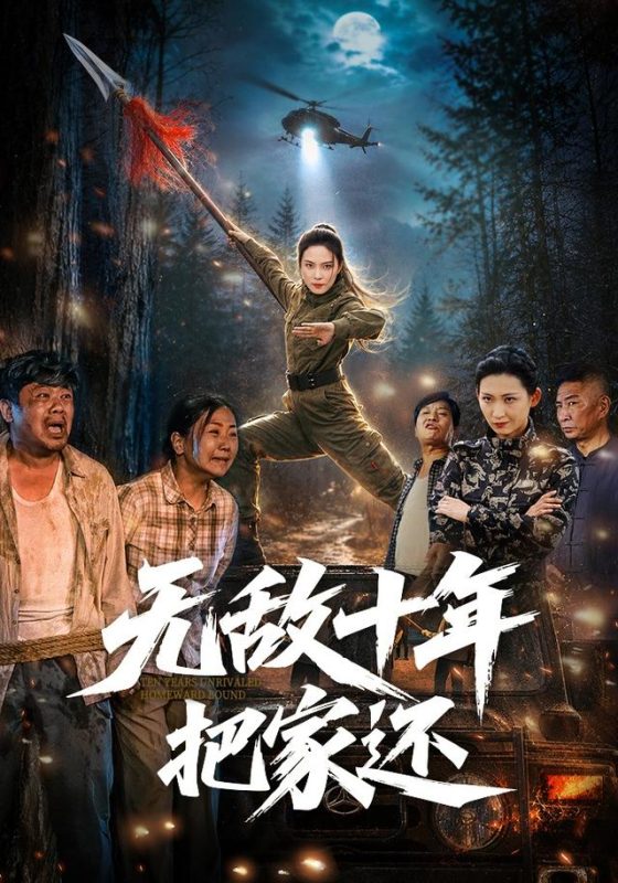 《无敌十年把家还》-VIP部落